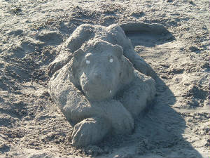 liononthebeach.jpg