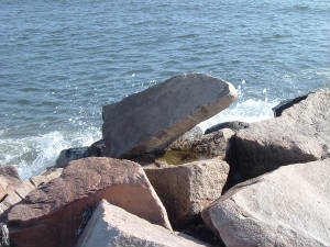 number2for2005.jpg