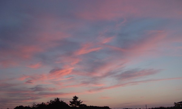 paintedinpinksandblue.jpg